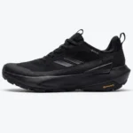 Adidas Terrex Gore Tex